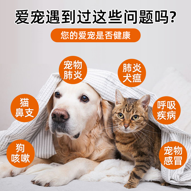 宠物手持雾化器猫咪雾化药狗狗猫鼻支雾化专用药感冒肺炎犬窝咳嗽 - 图0