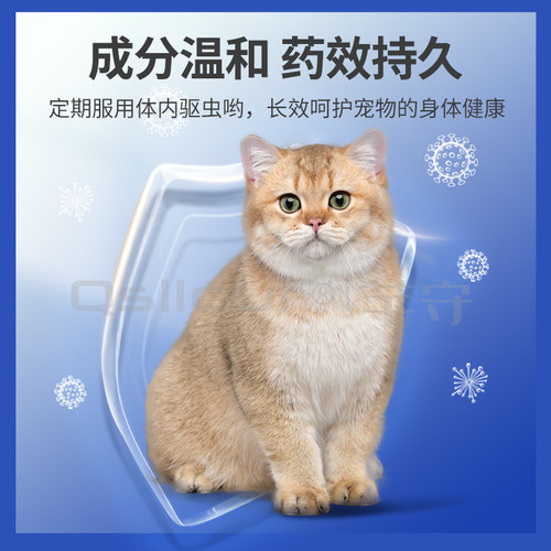 吡喹酮片宠物猫狗犬猫咪体内驱血吸虫绦虫囊尾蚴病泰迪驱虫药柯基 - 图2