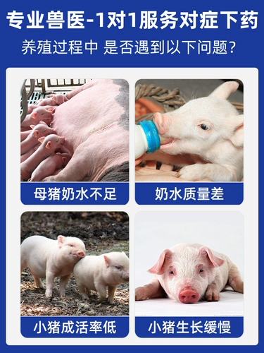 Порошок маленького свинного молока, свинина с свининой, специальное молочное порошок, порошок свиньи, порошок молока для первого рожденного порошка молока для питания