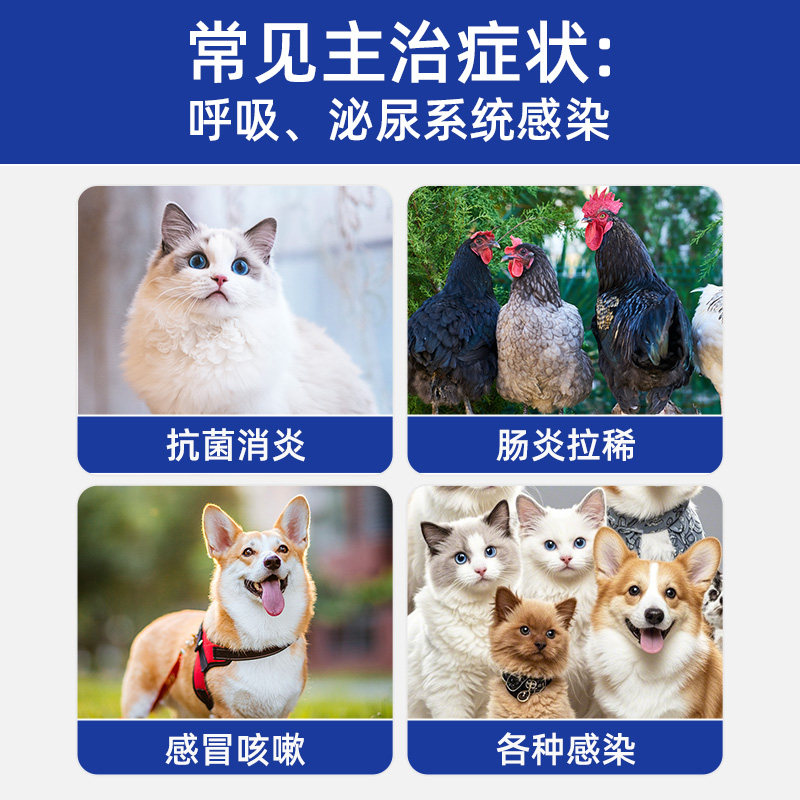 宠物狗狗猫咪猫感冒鼻支感染伤口消炎药口炎咳嗽阿莫西林片兽用鸡,淘宝优惠券,粉丝福利购,淘宝优惠卷