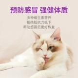 Shouchu Cat Multi -Dimensional Tablet Cat Выделенные композитные витаминные таблетки ПЭТ КРИЦОВ КРЕМЕНТ КРИЦЕ КРЕСТОВЫЙ МОС