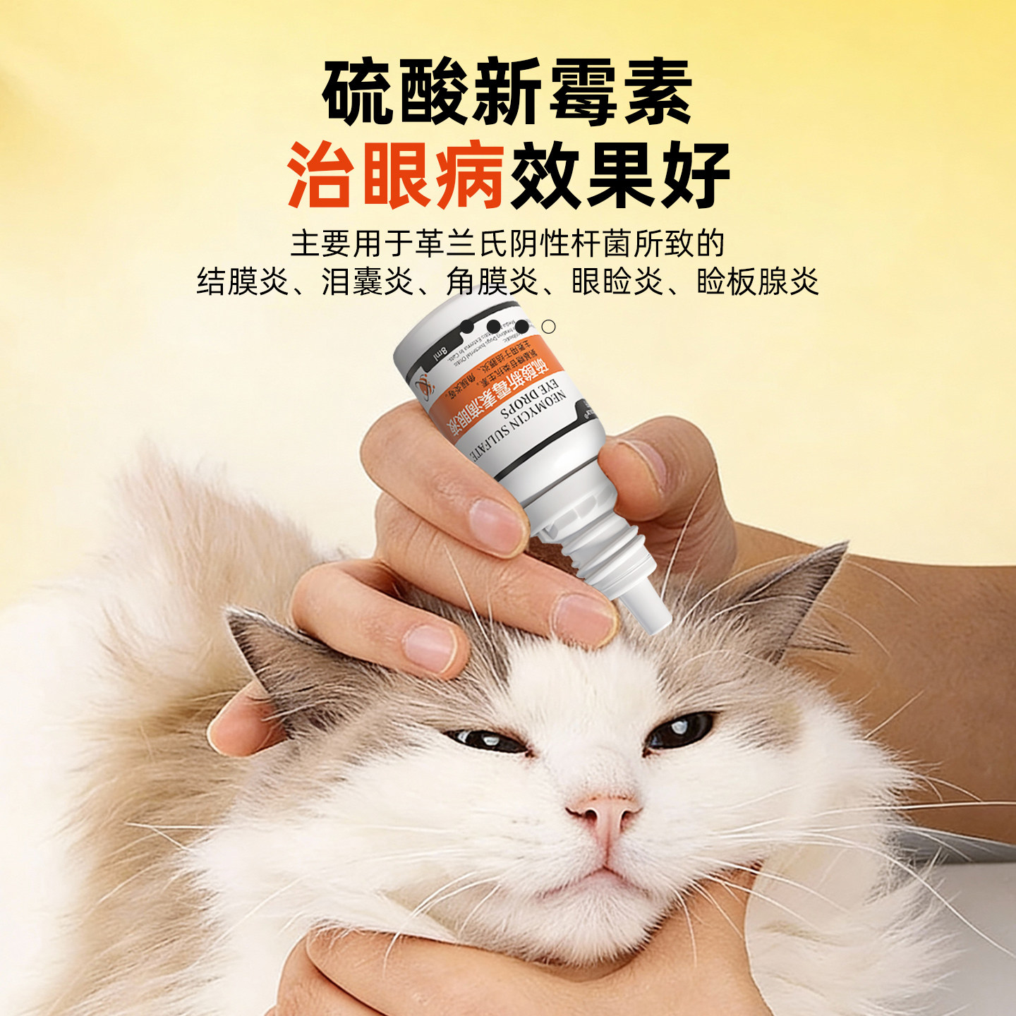 硫酸新霉素滴眼液猫咪眼药水消炎狗狗眼药水宠物用眼睛发炎流泪痕
