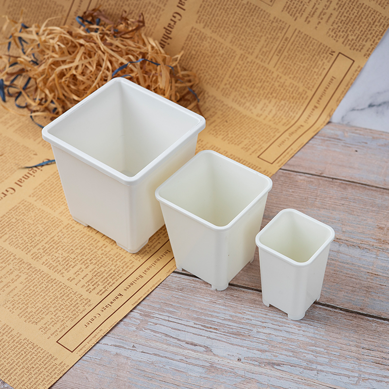 多肉花盆迷你小白方花盆塑料小黑方景天7方盆加厚拇指盆小号高盆,淘宝优惠券,粉丝福利购,淘宝优惠卷