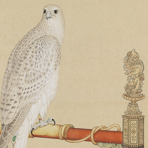 清 郎世宁 画白海青 真迹复制品37x77cm台北故宫藏清代画院花鸟画 - 图1