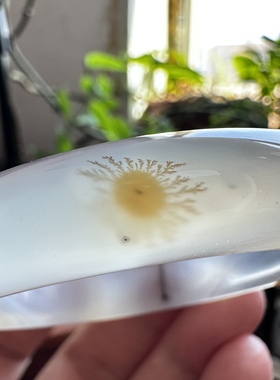 天然马料海洋玉髓高冰白冰草花大花水墨山景冰透风景玛瑙手镯56口