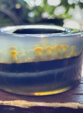 天然巴西花料水墨象形山景意境金蘑菇景观黑玛瑙扳指戒圈吊坠挂件