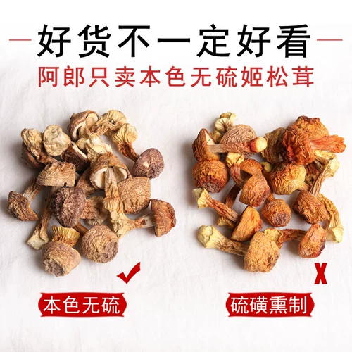 Yunnan specialty Agaricus dried goods grade official flagship store chicken Matsutake Matsutake Matsutake Matsutake Matsutake Matsutake Matsutake Matsutake Matsutake Matsutake Matsutake Matsutake Matsutake Matsutake Matsutake Matsutake Matsutake Matsutake Matsutake Matsutake Matsutake Matsutake Matsutake Matsutake Matsutake Mushroom