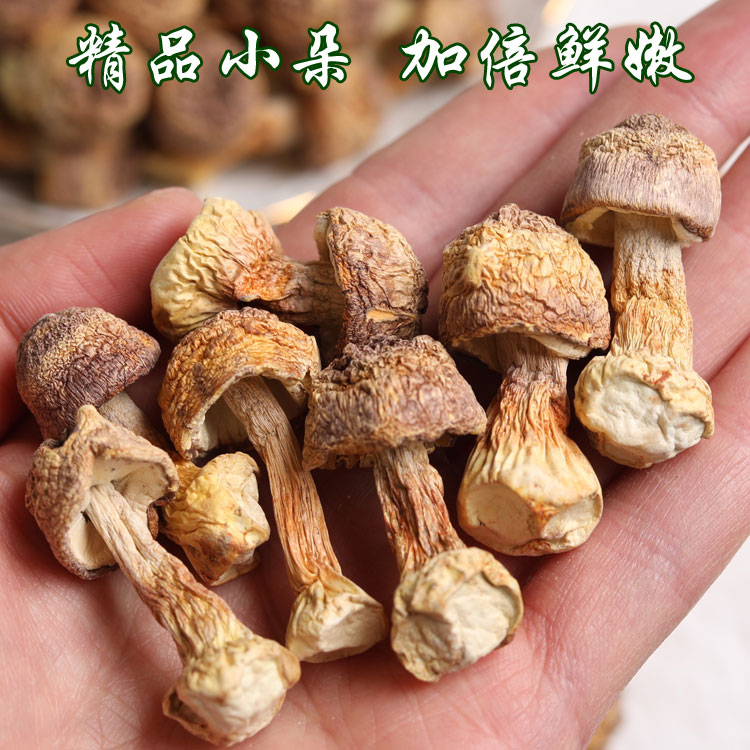 无硫特级干云南姬松茸干货特级官方旗舰店姬松菇羊肚菌非新鲜一级 - 图0