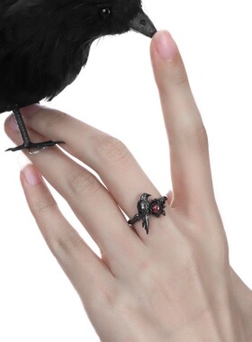 原创设计暗黑乌鸦戒指甜酷风高级