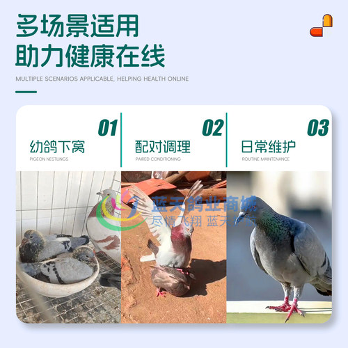 信鸽观赏鸽口腔黄白点粪便稀水毛滴球二合一格莱德非鸽药嘀球特号 - 图2