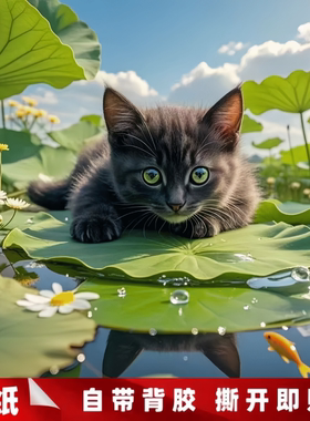 卡通可爱猫猫装饰贴画划痕遮挡贴