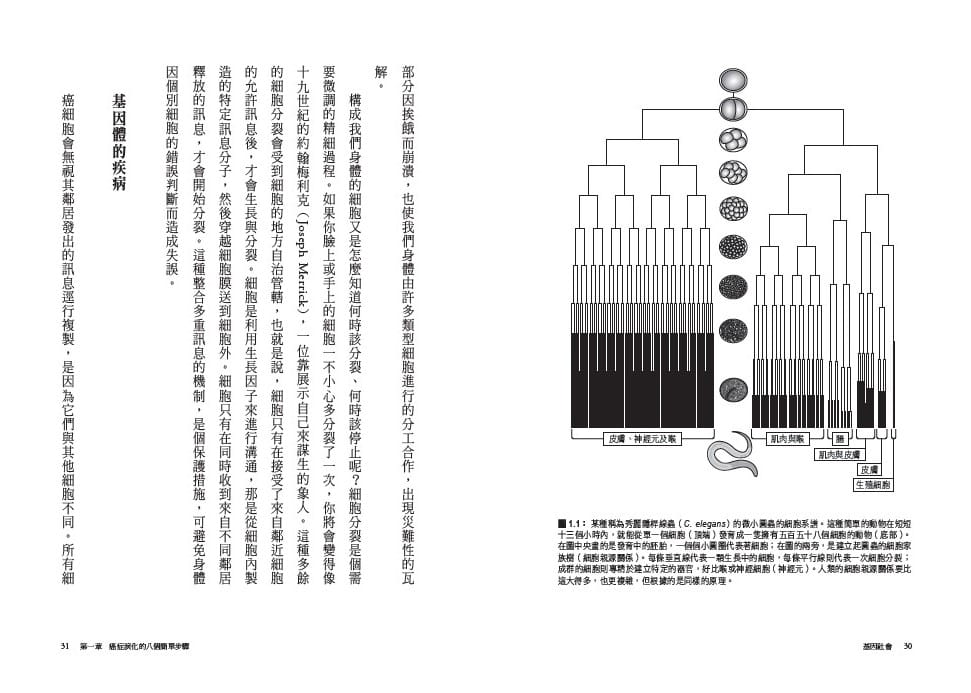 预售 以太•亚奈基因社会：从单一个体到群体研究，破解基因的互动关系与人体奥妙之谜卫城出版 原版进口书 自然科普 - 图1