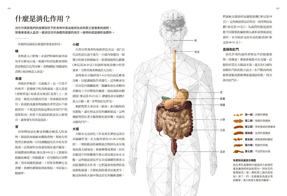 预售 营养的科学：175张科普图表，解析7大营养素、5大添加物，从断食到各式流行饮食法，从肠道健康到各族群层的 常常生活文创 里 - 图3