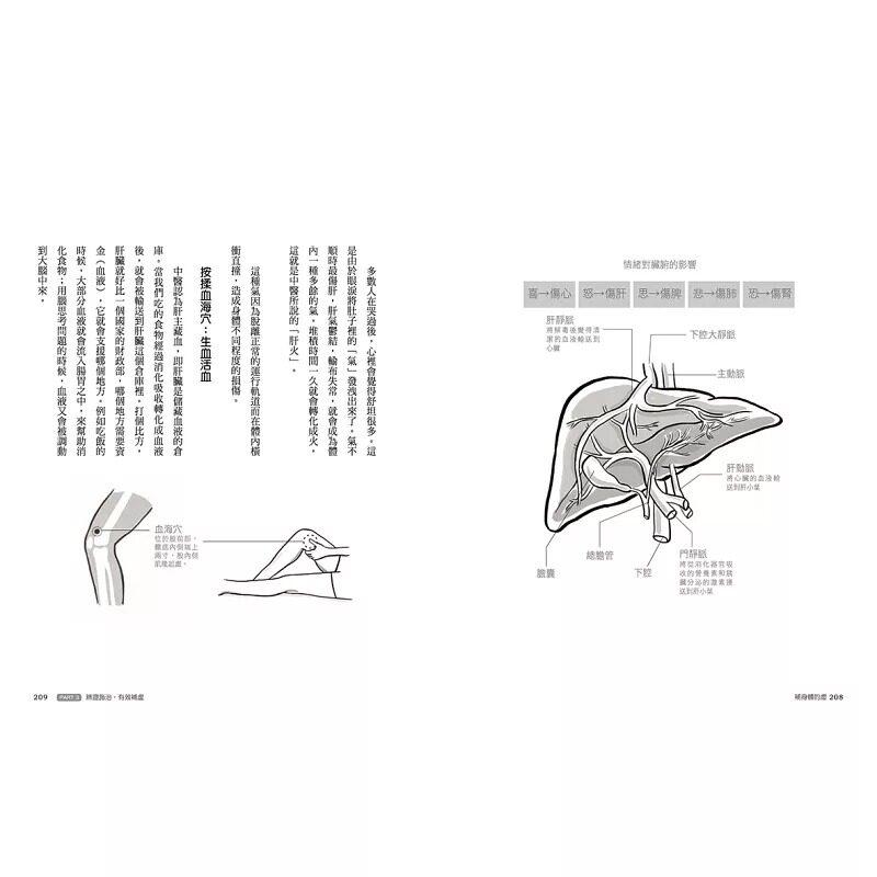 预售 补身体的虚:阳虚、阴虚、血虚、气虚、湿虚,调养五虚体质【畅销纪念版】 野人 杨力
