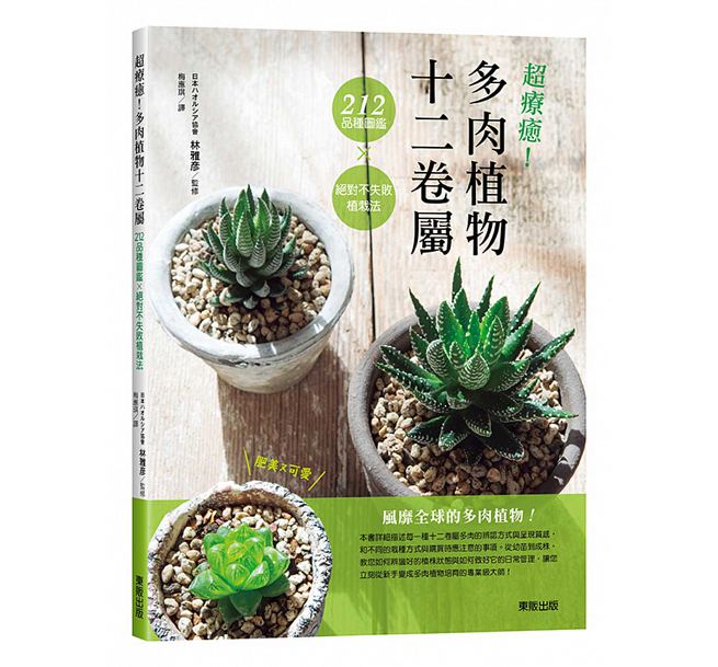 预售 超疗愈！多肉植物十二卷属212品种图鉴×不失败植栽法 原版进口书 生活风格 - 图0