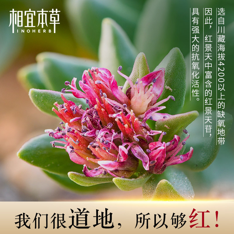 相宜本草红景天幼亮洁面膏女洗面奶 相宜本草佳宝洁面