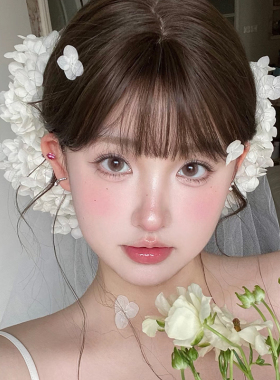 森系超仙减龄造型发饰新娘头纱套装高级感甜美绣球永生花拍照配饰