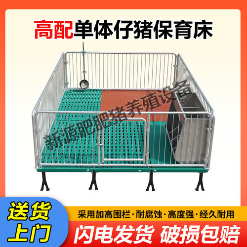 仔猪保育床设备定限位栏猪用畜牧机械漏粪板仔猪栏两用养猪场设备 - 图0