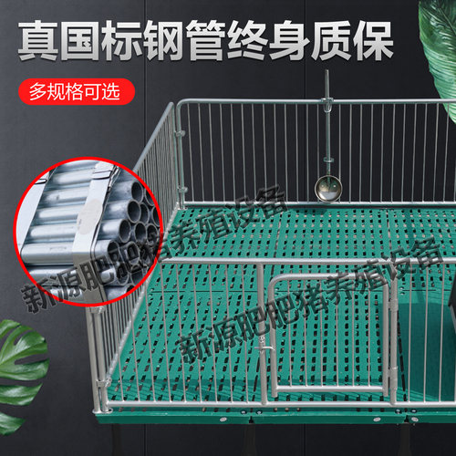 仔猪保育床设备定限位栏猪用畜牧机械漏粪板仔猪栏两用养猪场设备 - 图1