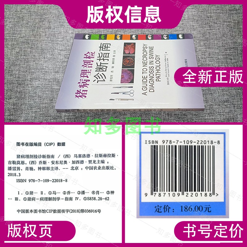 猪病理剖检诊断指南 彩色印刷 国外引进版 彩色图片 猪病理解剖的入门书 兽医书 临床医学书籍 中国农业出版社 图书籍 猪病学 - 图1