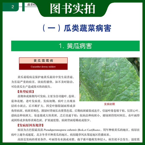 蔬菜病虫害诊断与防治彩色图谱/蔬菜图谱、番茄、辣椒、瓜类豆类、绿叶菜、彩色图谱 - 图3