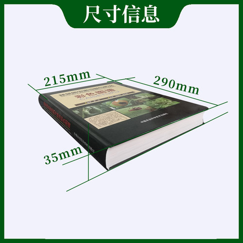 蔬菜病虫害诊断与防治彩色图谱/蔬菜图谱、番茄、辣椒、瓜类豆类、绿叶菜、彩色图谱 - 图2