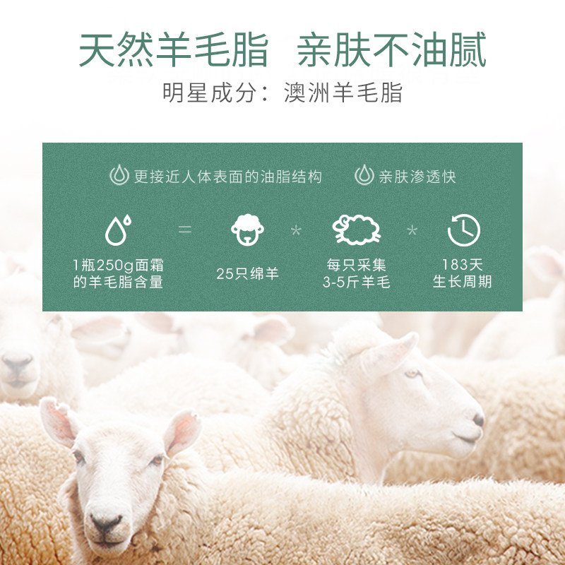 澳洲gm绵羊油澳芝曼原装进口身体乳 GM澳芝曼海外乳液/面霜