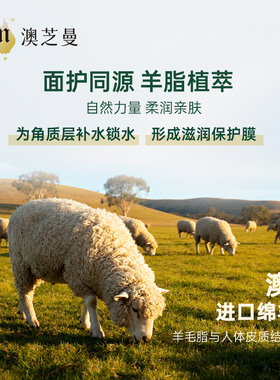 【胖东来同款】绵羊油香氛身体乳