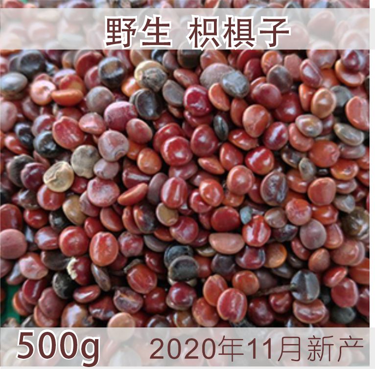 枳椇子拐枣籽500g泡茶解酒可打粉葛根枳具茶无硫药材熟籽不发芽子-图1