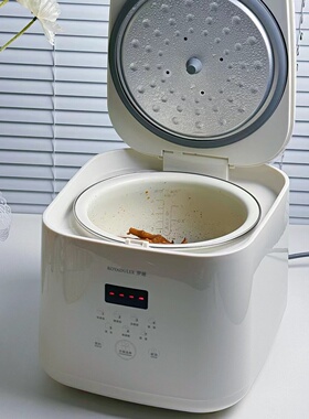 罗娅电饭煲家用小型迷你多功能智能预约快速煮大容量蒸煮饭锅2.8L