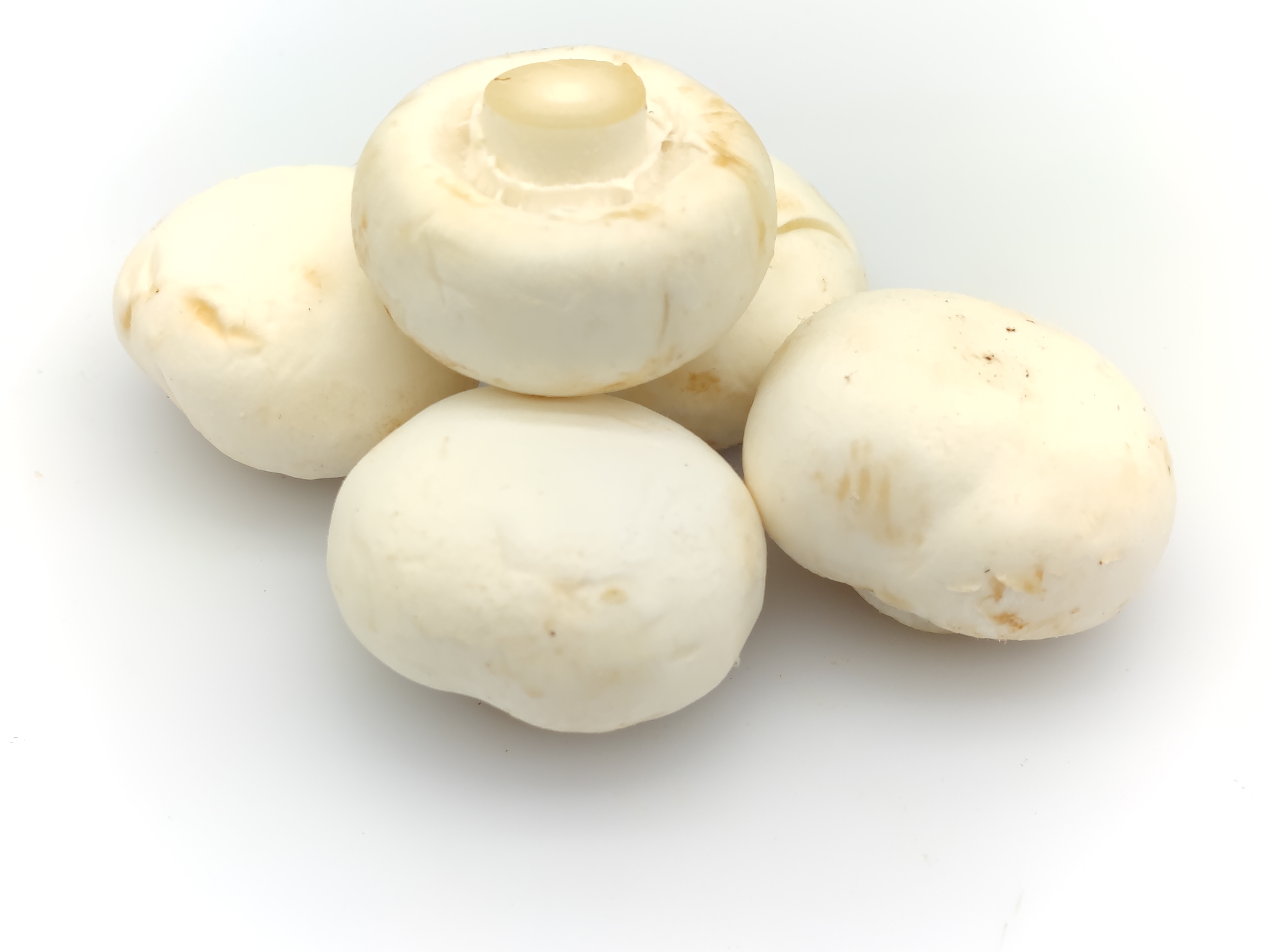 新鲜干菇 食用菌 白蘑菇 口蘑 双孢菇 1斤装（未洗水，少许变色） - 图3