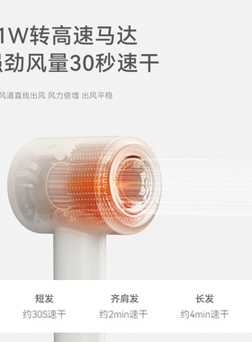 olayks立时等离子高速吹风机家用