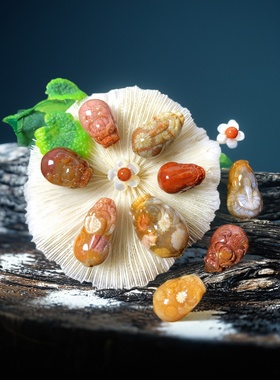 男女天然珊瑚玉貔貅龙龟吊坠配件