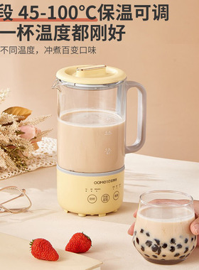 欧美养生壶办公室多功能小型