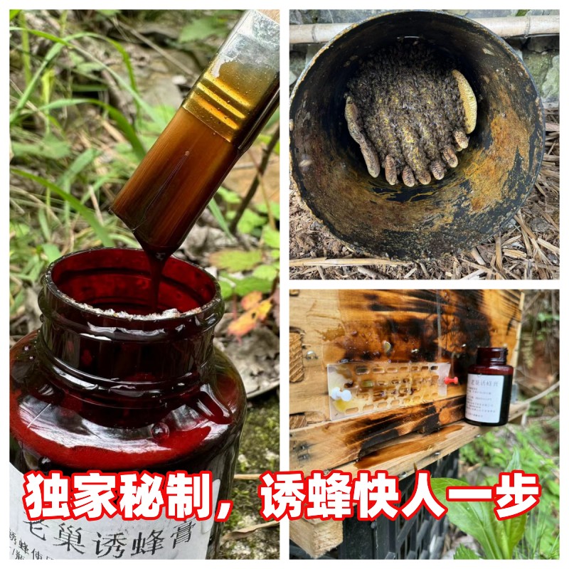 老巢诱蜂膏野外引蜂招蜂专用中土蜂诱蜂水蜂王信息素蜂蜡诱蜂用具 - 图1