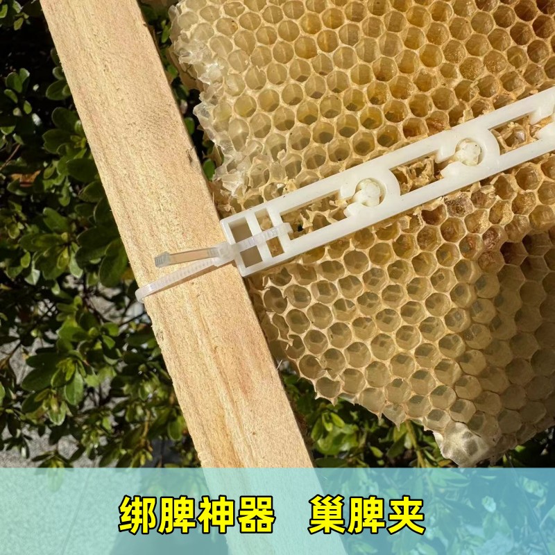 中蜂导础夹巢脾夹野蜂过箱土养圆蜂桶夹脾塑料夹诱蜂绑脾条固定条 - 图1