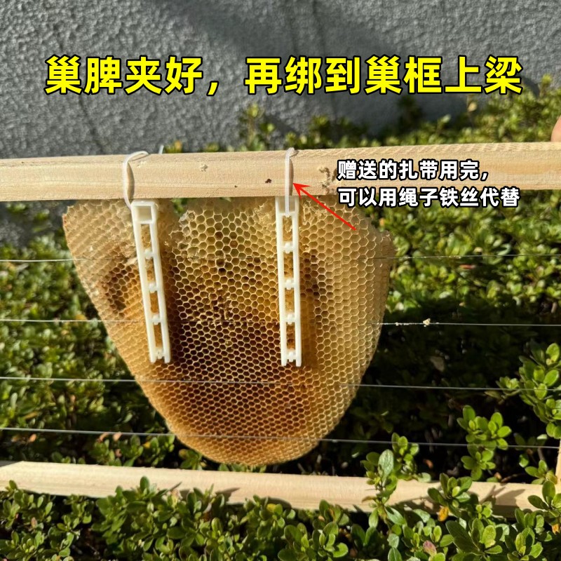 中蜂导础夹巢脾夹野蜂过箱土养圆蜂桶夹脾塑料夹诱蜂绑脾条固定条 - 图0