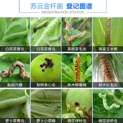 苏云金杆菌bt8000iu钻心虫菜青虫小菜蛾吊丝虫尺蠖生物农药杀虫剂 虎窝淘