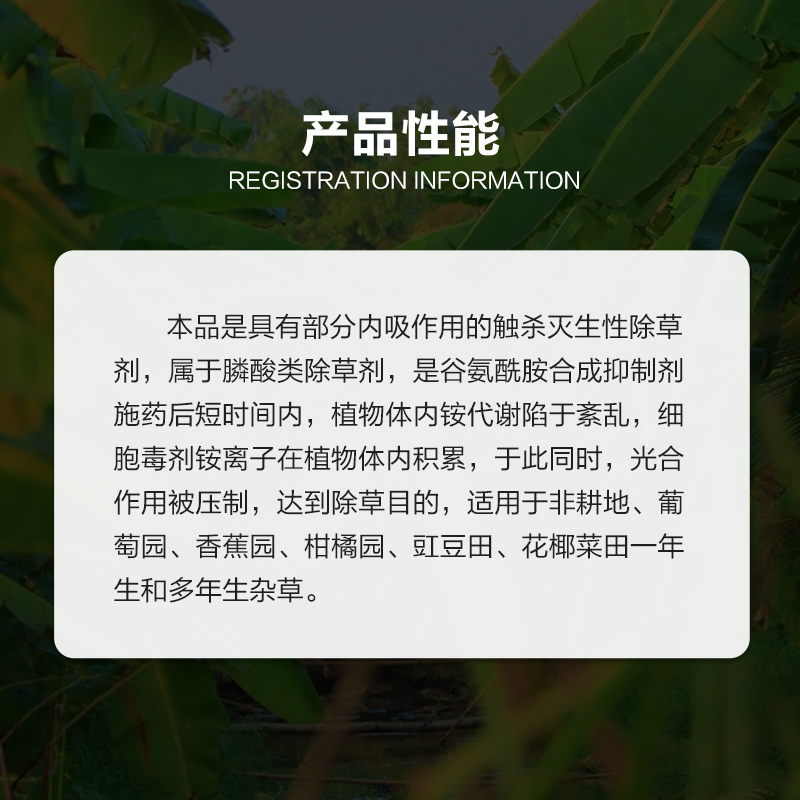 永农金百速10%精草铵膦铵盐草安草铵磷草胺磷牛筋草小飞蓬除草剂-图2