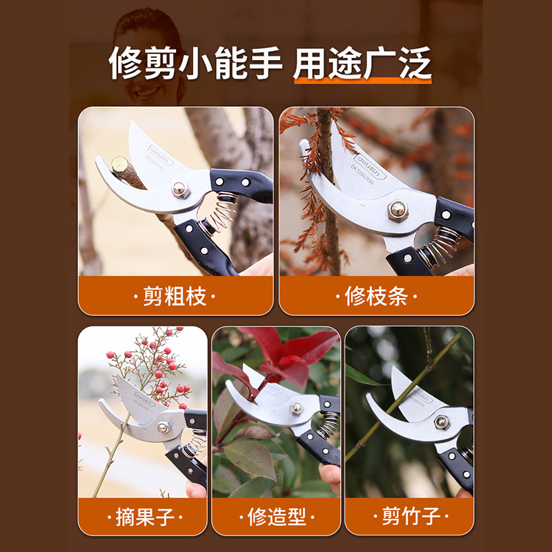 得力剪枝剪刀园林花艺修剪树枝剪刀果树剪刀粗大花剪园艺剪子工具,淘宝优惠券,粉丝福利购,淘宝优惠卷
