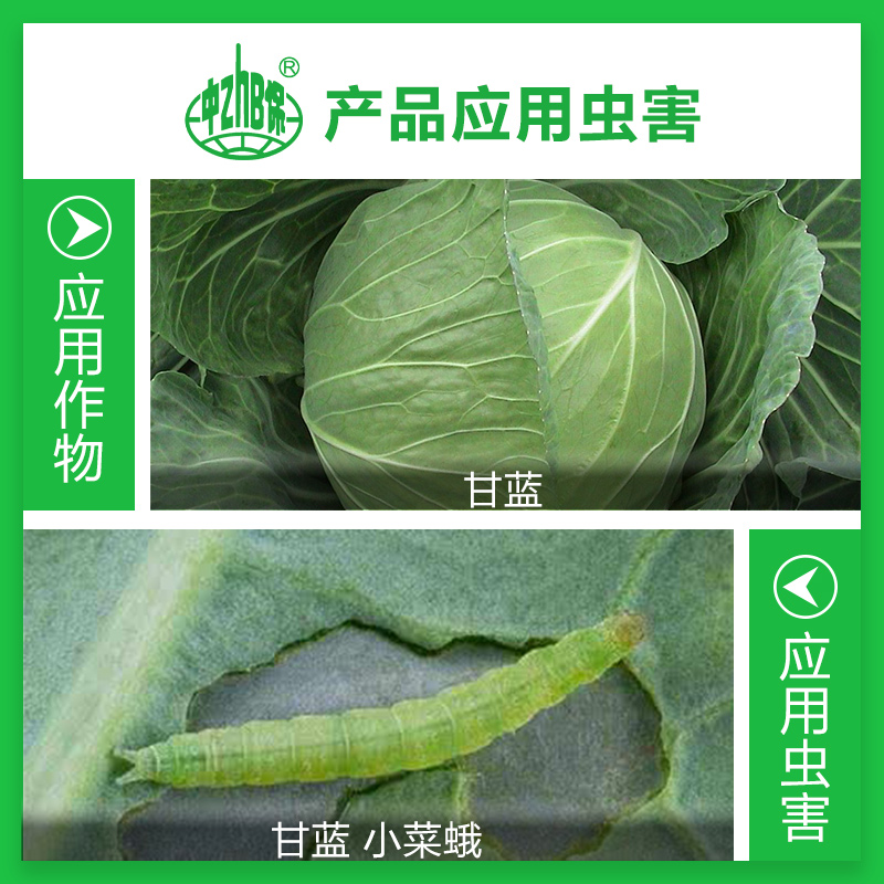 中保 12%甲氨基阿维菌素盐虫螨腈 甘蓝小菜蛾青虫 内吸性杀虫剂 - 图0