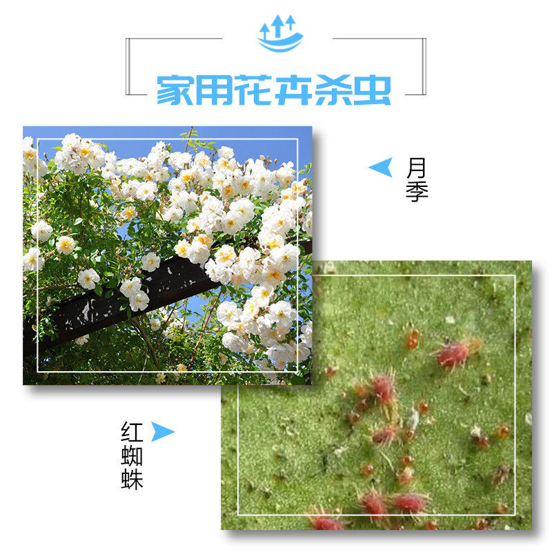 基得石硫合剂 晶体叶螨介壳虫白粉病果树螨果树农药杀虫杀菌剂