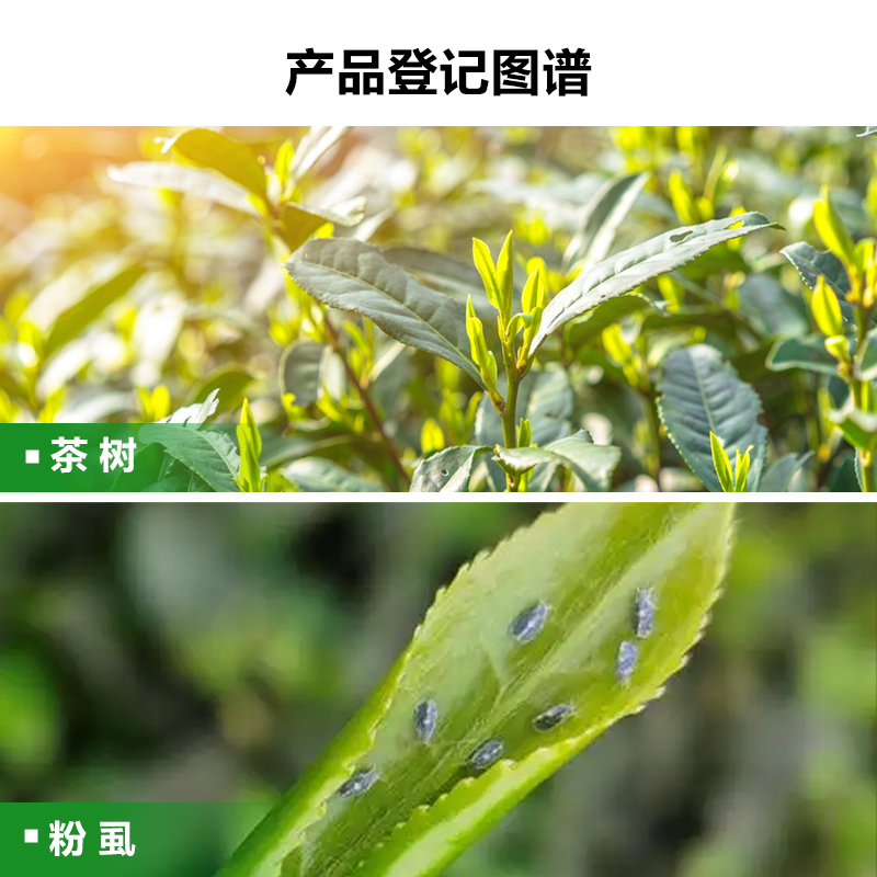 联苯菊酯10%联苯菊脂茶树白粉虱菊酯类杀虫杀螨剂杀虫剂农药1公斤 - 图1