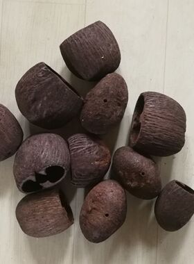 水铃桐果壳diy风铃材料包手工制作水铜铃salin果壳手摇铃风铃果壳