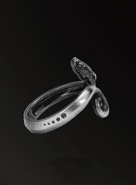 泰银复古衔尾蛇戒指尾戒对戒潮流设计原创元素小众个性礼物