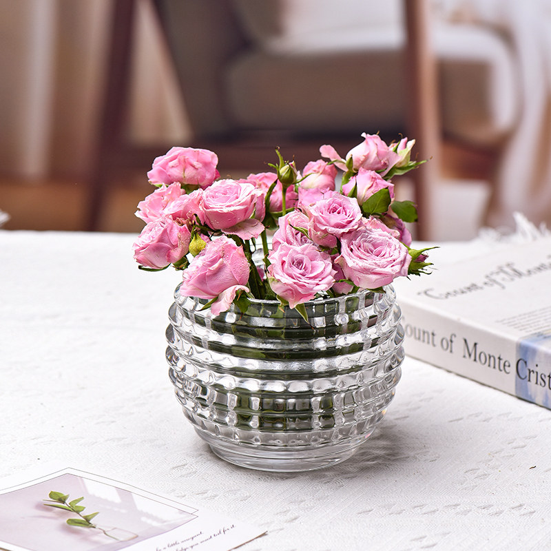 北欧创意彩色圆球玻璃花瓶客厅插花水培绿萝铜钱草绿植家居摆件,淘宝优惠券,粉丝福利购,淘宝优惠卷