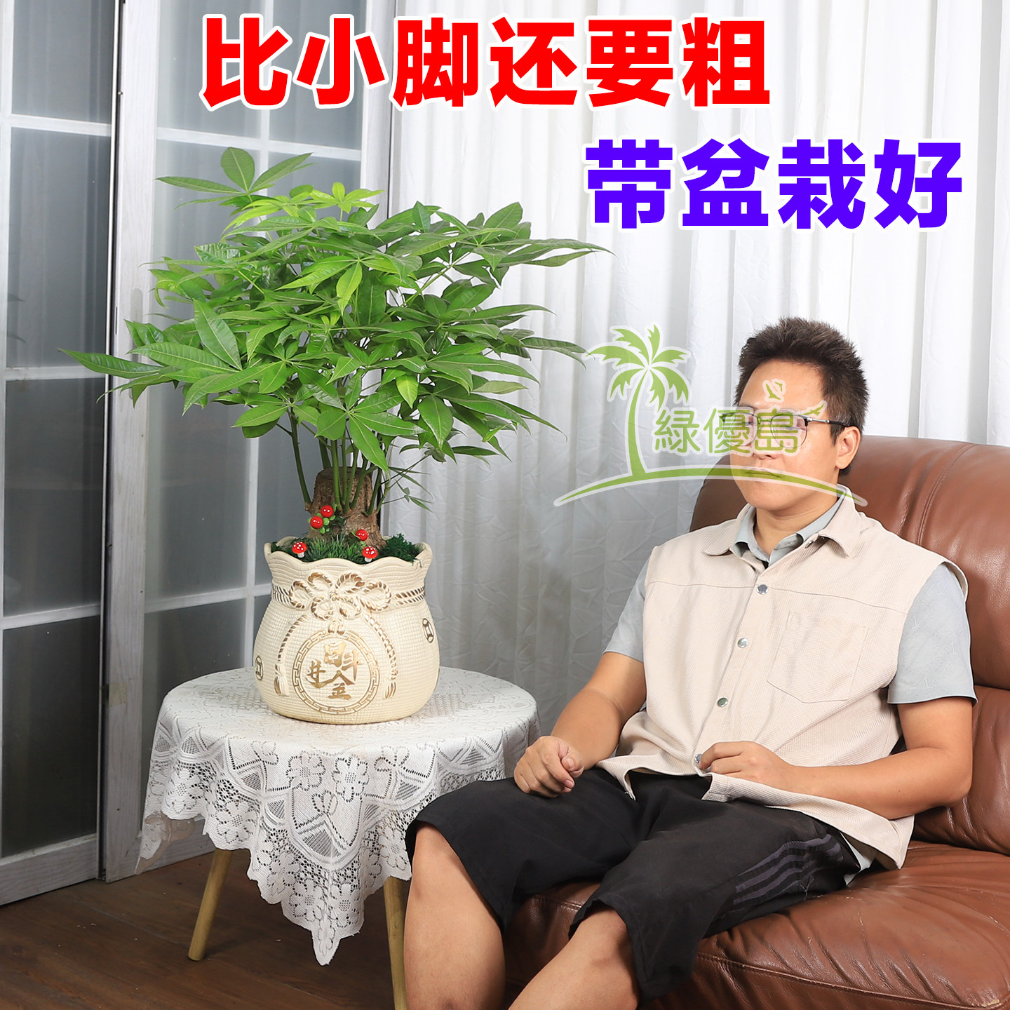 发财树带盆栽好大型办公室内绿植物盆景前台公司开业新房入伙花卉,淘宝优惠券,粉丝福利购,淘宝优惠卷