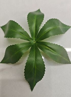 单片仿真马醉木叶过胶假绿叶园林造景装饰插树枝绿叶子DIY假树叶