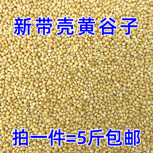 新黄谷子带壳小米虎皮牡丹玄凤中小型鹦鹉文鸟鸟饲料鸟粮鸟食粮食 - 图2