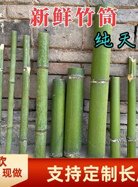 新鲜竹子小竹筒高山青竹
